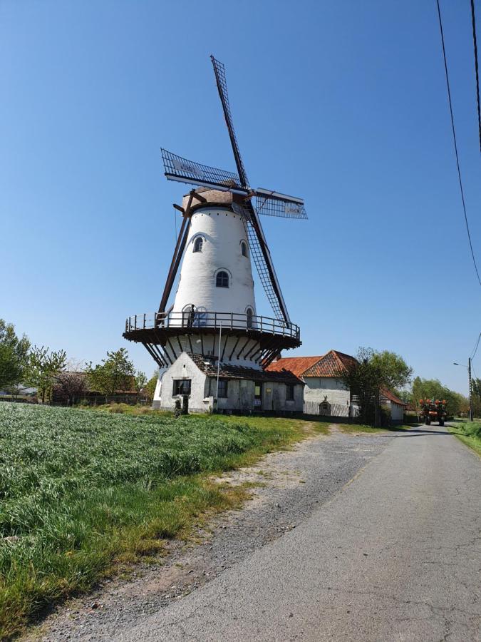 B&B Kanegem Onverbloemd Tielt Eksteriør billede