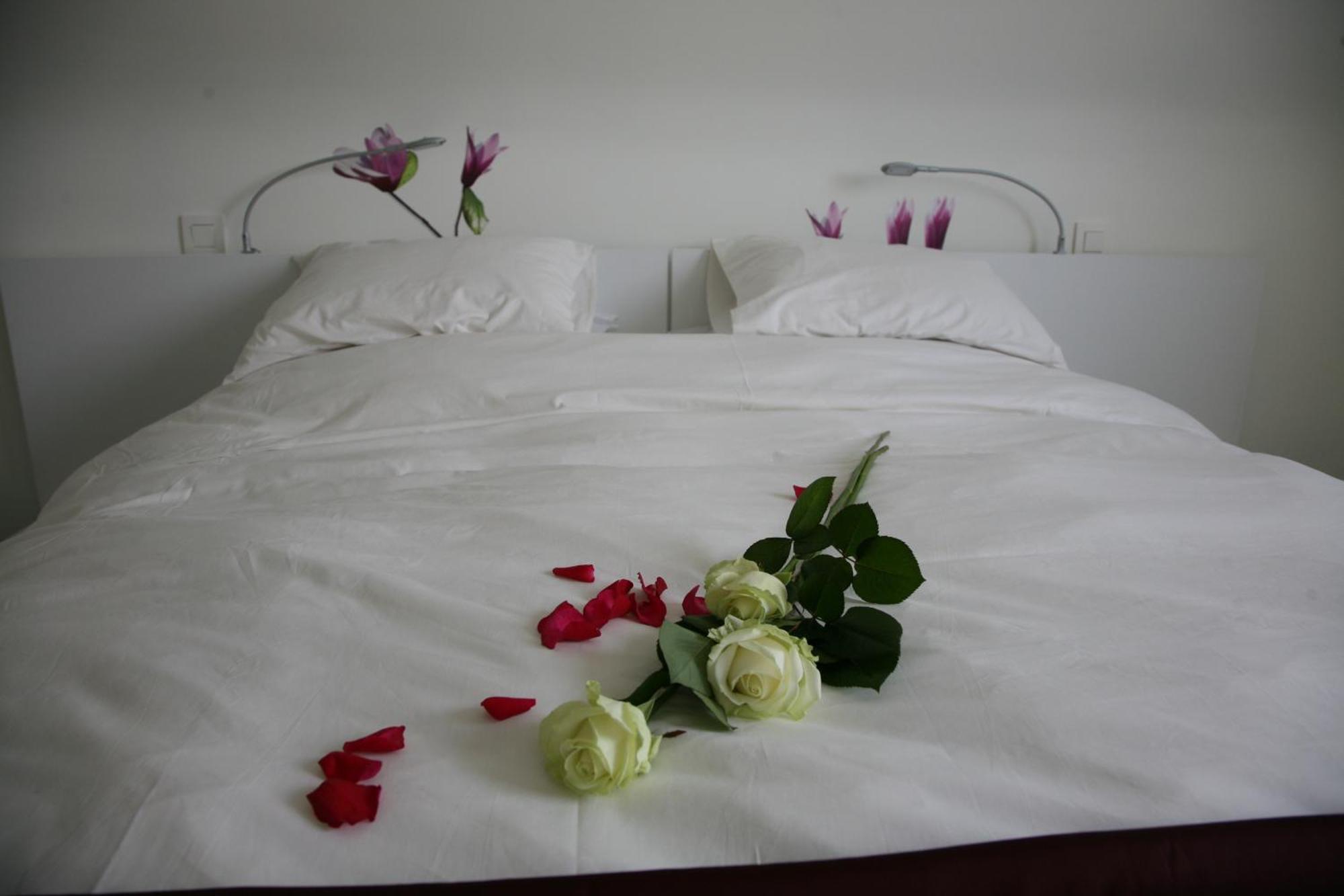 B&B Kanegem Onverbloemd Tielt Eksteriør billede